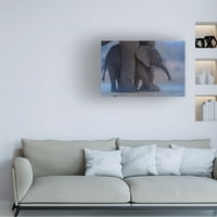 Озкан Озмен „слон теле со мама“ платно уметност